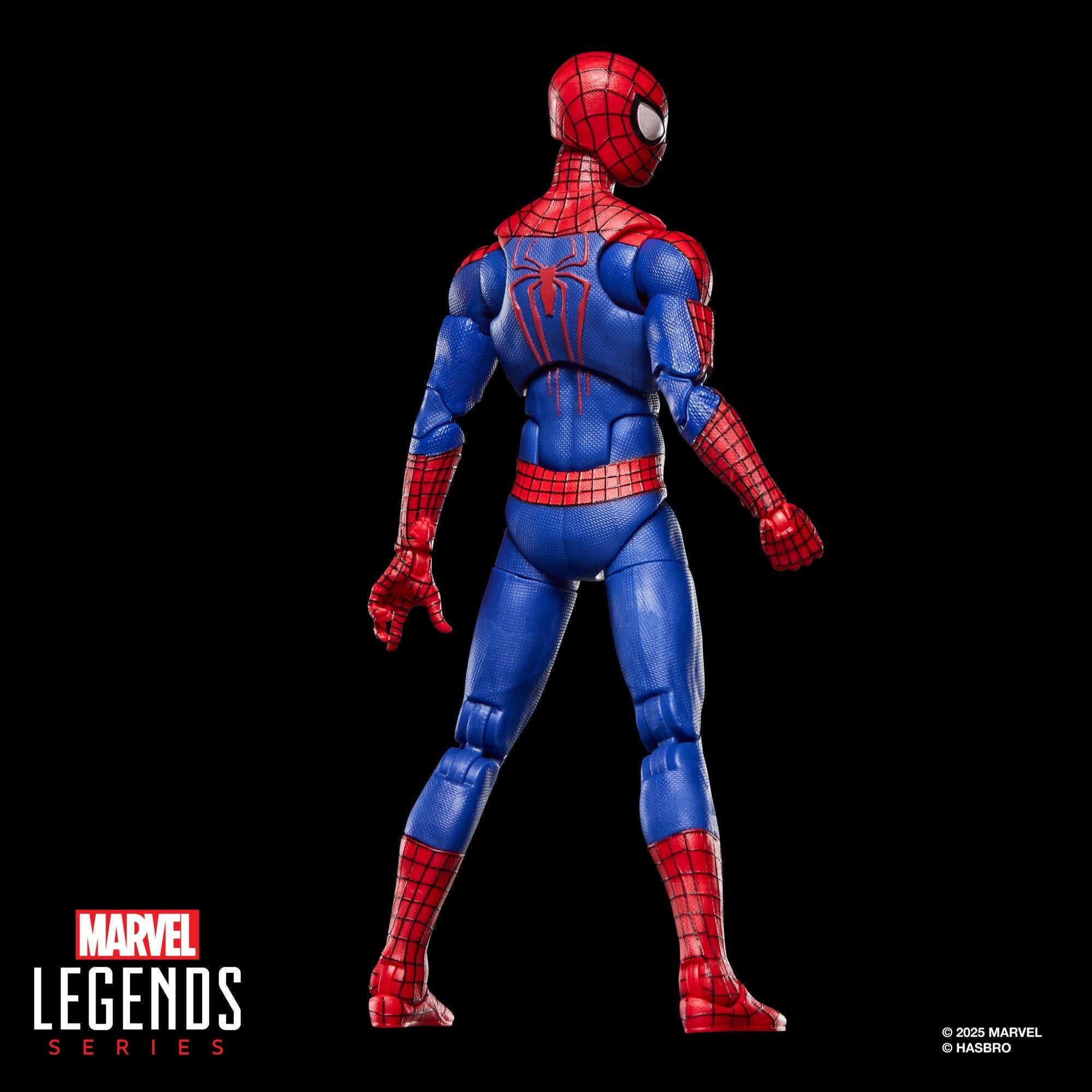 Marvel Legends Series The Amazing Spider-Man